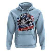 Funny 4th Of July WTF Is A Kilometer Hoodie Vintage USA Meme Patriotic Eagle Humor Independence Day
