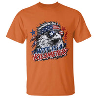 Funny 4th Of July WTF Is A Kilometer T Shirt Vintage USA Meme Patriotic Eagle Humor Independence Day