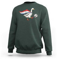 Funny Paraguay Soccer Sweatshirt Goose Wearing Paraguayan Flag Patriotic Football Fan Graphic