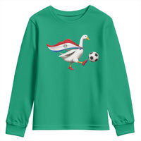 Funny Paraguay Soccer Youth Sweatshirt Goose Wearing Paraguayan Flag Patriotic Football Fan Graphic