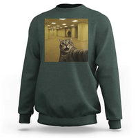 Funny Cat Selfie with Bigfoot Sasquatch Backrooms Liminal Space Meme Sweatshirt