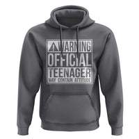 13th Birthday Hoodie Warning Official Teenager Boy 13yr