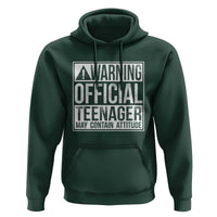 13th Birthday Hoodie Warning Official Teenager Boy 13yr