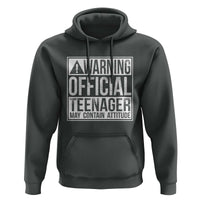 13th Birthday Hoodie Warning Official Teenager Boy 13yr