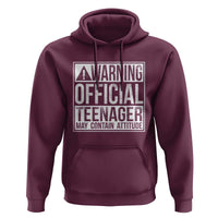 13th Birthday Hoodie Warning Official Teenager Boy 13yr
