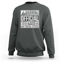 13th Birthday Sweatshirt Warning Official Teenager Boy 13yr
