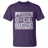 13th Birthday T Shirt Warning Official Teenager Boy 13yr