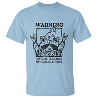 Vintage Raccoon 13th Birthday T Shirt 13 Year Old Official Teenager Gifts