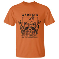 Vintage Raccoon 13th Birthday T Shirt 13 Year Old Official Teenager Gifts