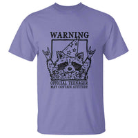 Vintage Raccoon 13th Birthday T Shirt 13 Year Old Official Teenager Gifts