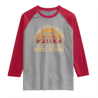 Vintage 2013 Official Teenager Raglan Shirt 13 Year Old 13th Birthday