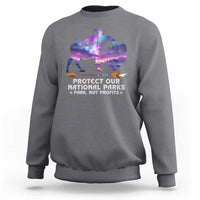 Protect Our National Parks Sweatshirt Bison Forest Starscape Aurora