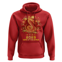 Year Of The Snake 2025 Lunar New Year Hoodie