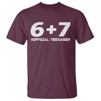 Funny 13th Birthday Official Teenager T Shirt 13 Years Old Boys Kids