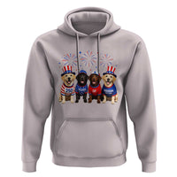 Labrador Retriever Americas 250th Anniversary Hoodie 4th July US 250 Years Of Freedom Dog Lovers 1776 2026