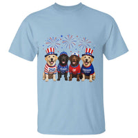 Labrador Retriever Americas 250th Anniversary T Shirt 4th July US 250 Years Of Freedom Dog Lovers 1776 2026
