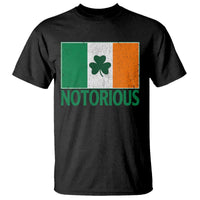 Irish Pride Boxing Fighting Notorious T Shirt Vintage Ireland Flag Irish Retro Throwback