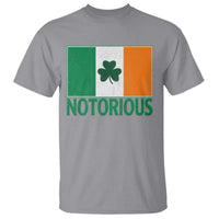 Irish Pride Boxing Fighting Notorious T Shirt Vintage Ireland Flag Irish Retro Throwback