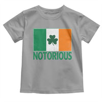 Irish Pride Boxing Fighting Notorious Toddler T Shirt Vintage Ireland Flag Irish Retro Throwback