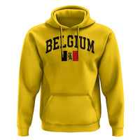 Vintage Belgium Hoodie Lion Royal Flag Graphic Belgian Soccer Football Pride Gift for Fans