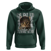 Tummy Ache Survivor Cat Meme Hoodie Funny Saying Cats Cat Bootleg - Wonder Print Shop