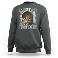 Tummy Ache Survivor Cat Meme Sweatshirt Funny Saying Cats Cat Bootleg - Wonder Print Shop