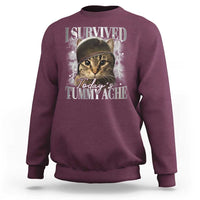 Tummy Ache Survivor Cat Meme Sweatshirt Funny Saying Cats Cat Bootleg - Wonder Print Shop