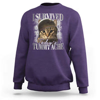 Tummy Ache Survivor Cat Meme Sweatshirt Funny Saying Cats Cat Bootleg - Wonder Print Shop