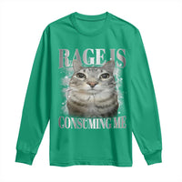 Rage Is Consuming Me Long Sleeve Shirt Funny Silly Cat Memes - Wonder Print Shop