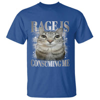 Rage Is Consuming Me T Shirt Funny Silly Cat Memes - Wonder Print Shop