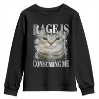 Rage Is Consuming Me Youth Sweatshirt Funny Silly Cat Memes - Wonder Print Shop