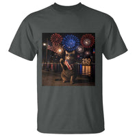USA 250th Anniversary Cat T Shirt Funny 4th Of July Independence Day 250 Years 1776 2026 Patriotic Celebration Meme