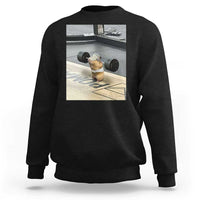 Hamster Gym Sweatshirt Funny Rat Workout Weightlifting Pump Cover