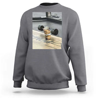 Hamster Gym Sweatshirt Funny Rat Workout Weightlifting Pump Cover