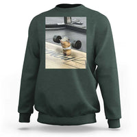 Hamster Gym Sweatshirt Funny Rat Workout Weightlifting Pump Cover