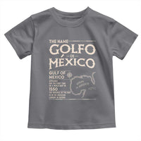 Gulf Of Mexico Toddler T Shirt 1672 Historic Map Coast Mexico Lover