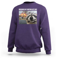 Raccoon Meme Sweatshirt Undiagnosed But Something Aint Right - Wonder Print Shop
