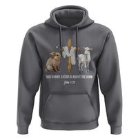 Easter Christian Hoodie Silly Rabbit Easter Is About The Lamb John 1:29