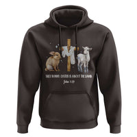 Easter Christian Hoodie Silly Rabbit Easter Is About The Lamb John 1:29