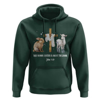 Easter Christian Hoodie Silly Rabbit Easter Is About The Lamb John 1:29