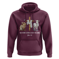Easter Christian Hoodie Silly Rabbit Easter Is About The Lamb John 1:29