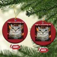 Rage Is Consuming Me Cat Christmas Ornament Funny Weird Humor Silly Cat Meme - Wonder Print Shop