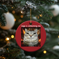 Rage Is Consuming Me Cat Christmas Ornament Funny Weird Humor Silly Cat Meme - Wonder Print Shop