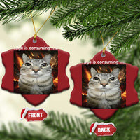 Rage Is Consuming Me Cat Christmas Ornament Funny Weird Humor Silly Cat Meme - Wonder Print Shop