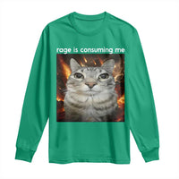 Rage Is Consuming Me Cat Long Sleeve Shirt Funny Weird Humor Silly Cat Meme - Wonder Print Shop