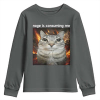 Rage Is Consuming Me Cat Youth Sweatshirt Funny Weird Humor Silly Cat Meme - Wonder Print Shop