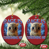 Rage Is Consuming Me Cat Meme Christmas Ornament Funny Weird Humor Cat Face Bootleg - Wonder Print Shop