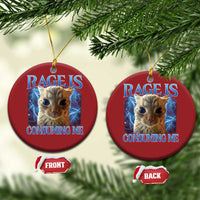 Rage Is Consuming Me Cat Meme Christmas Ornament Funny Weird Humor Cat Face Bootleg - Wonder Print Shop