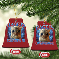 Rage Is Consuming Me Cat Meme Christmas Ornament Funny Weird Humor Cat Face Bootleg - Wonder Print Shop
