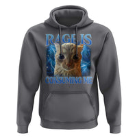 Rage Is Consuming Me Cat Meme Hoodie Funny Weird Humor Cat Face Bootleg - Wonder Print Shop